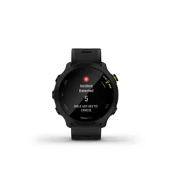 Garmin Forerunner 55 Running Smartwatch -Sporting Goods Store 1622709921 91725300