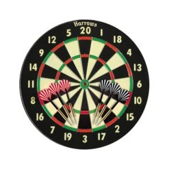 Champion Family Dart Game