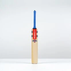 Stratos 1.0 Thunder Junior Cricket Bat