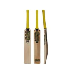PSYCHE DXM 404 Junior Cricket Bat