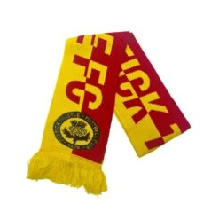 Partick Thistle Divide Scarf