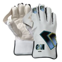 Aion Wicket Keeping Cricket Gloves -Sporting Goods Store 1 aa3a4b8c 6819 460e a21e 982d710206eb