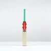 Ventus 1.0 Warrior Junior Cricket Bat