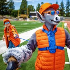 Goodr Donkey Goggles Sunglasses 11 Goodr Donkey Goggles Sunglasses -Sporting Goods Store 1 deea8c16 ef89 447c ac9c cbd531b4e7a1