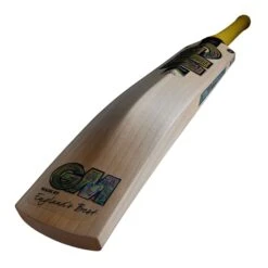 PSYCHE DXM 404 Junior Cricket Bat -Sporting Goods Store 2 3877d471 0651 4554 ba99 cd52a58abefb