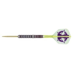 Luke Littler World Champion 2025 Edition 90% Tungsten - Swiss Point Steel Tip Darts -Sporting Goods Store 2 88c4f8f6 54ef 40cc ab12 7e43e98efd97