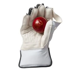 Aion Wicket Keeping Cricket Gloves -Sporting Goods Store 3 f02f1e13 0e9a 40d5 8857 d68bb4da2887