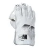 WICKET KEEPING GLOVES - 606 1 WICKET KEEPING GLOVES - 606 -Sporting Goods Store Footwear 1 0000 606 Wkt glove back